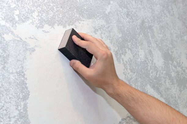 Best Mold Prevention Services  in West Alexandria, OH