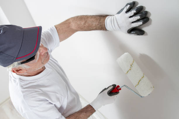 Best Black Mold Removal  in West Alexandria, OH
