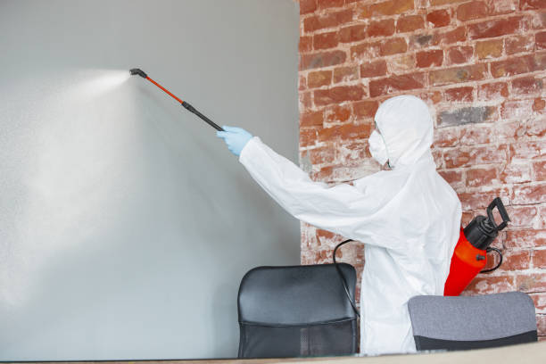 Best Dehumidification Services  in West Alexandria, OH