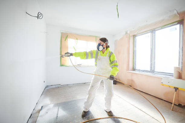 Best Biohazard Mold Removal  in West Alexandria, OH