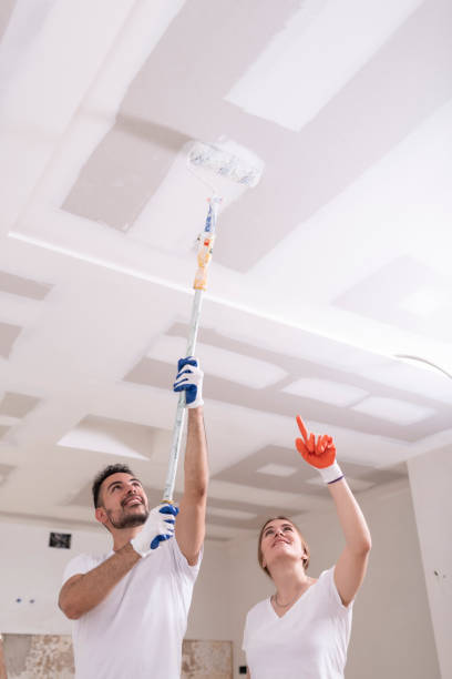 Best Mold Odor Removal Services  in West Alexandria, OH