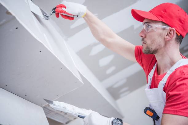 West Alexandria, OH Mold Removal Company