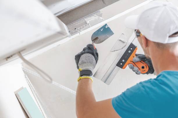 Best Emergency Mold Remediation  in West Alexandria, OH
